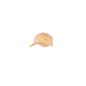 Casquette tendance irisée - SORBETTE Pêche